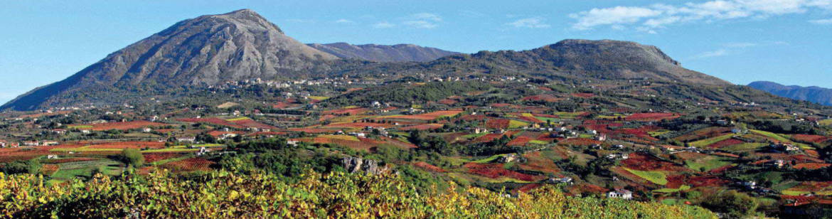 copertina-territorio.jpg