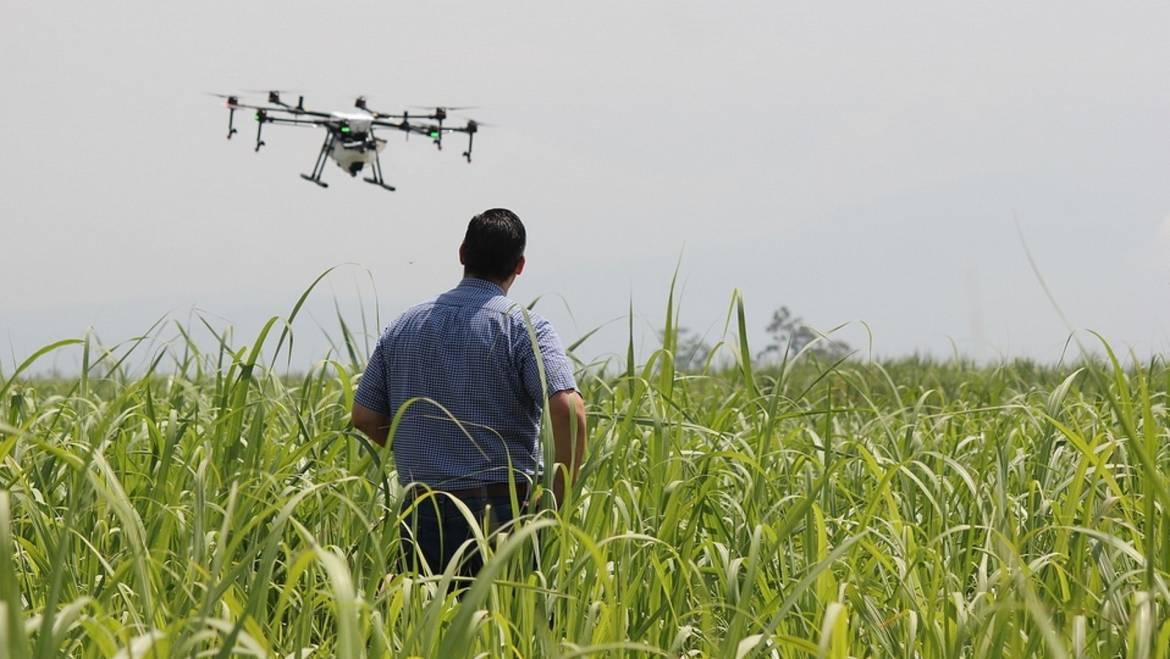 La tecnologia nei processi di produzione e tracciabilità del cibo