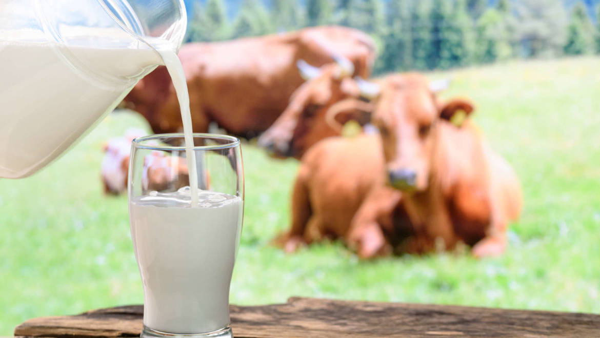 Il latte fa bene o fa male? Risponde la nutrizionista