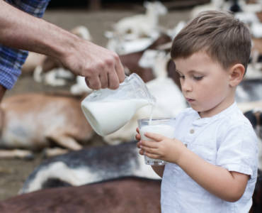 Caratteristiche e proprietà del latte vaccino