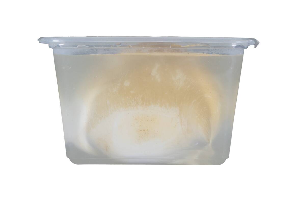 Provola-Affumicata-Iaquilat-1.jpg